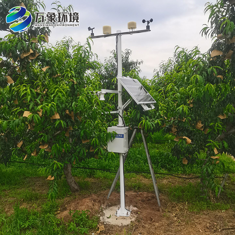 生態茶園安裝農業氣象站 生態茶園安裝農業氣象站